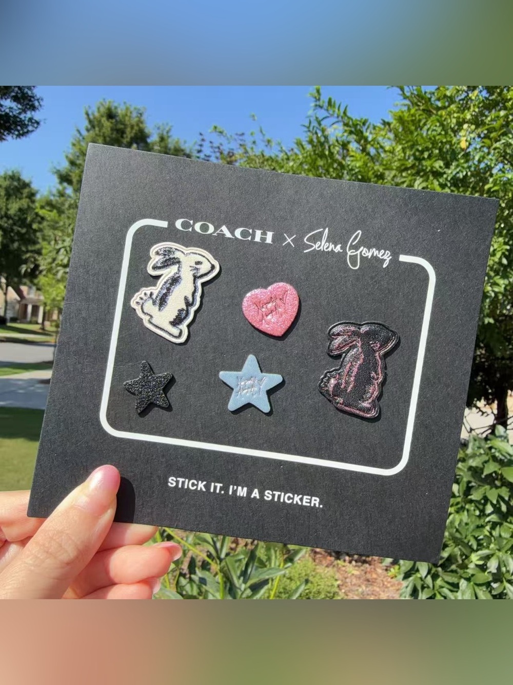 NWT Coach x Selena Gomez Leather Sticker Set Bunny Heart Star 67904G